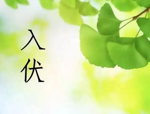 何為三伏天？三伏貼？ 