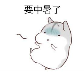 2019三伏貼時間表，三伏貼的作用與功效